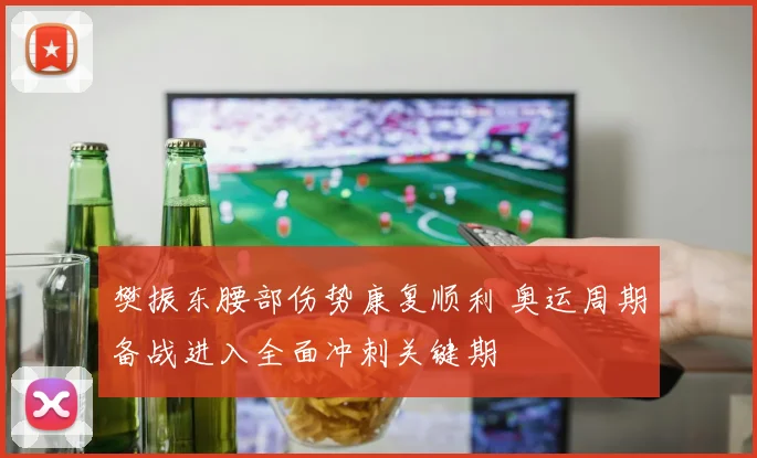 樊振东腰部伤势康复顺利 奥运周期备战进入全面冲刺关键期