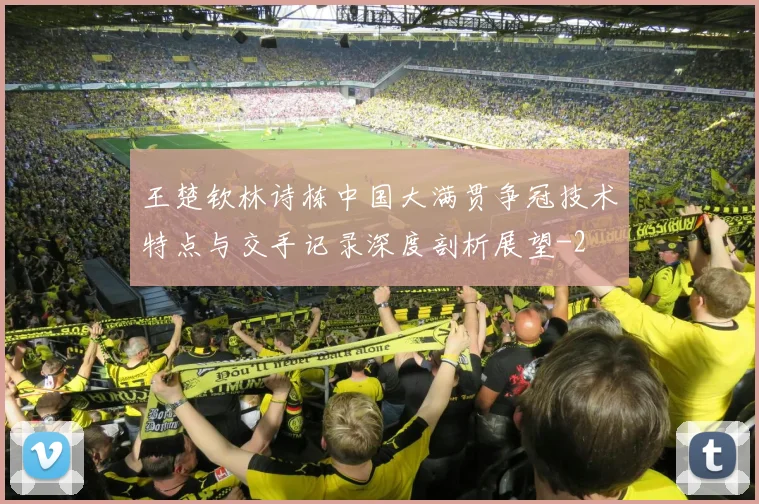 王楚钦林诗栋中国大满贯争冠技术特点与交手记录深度剖析展望